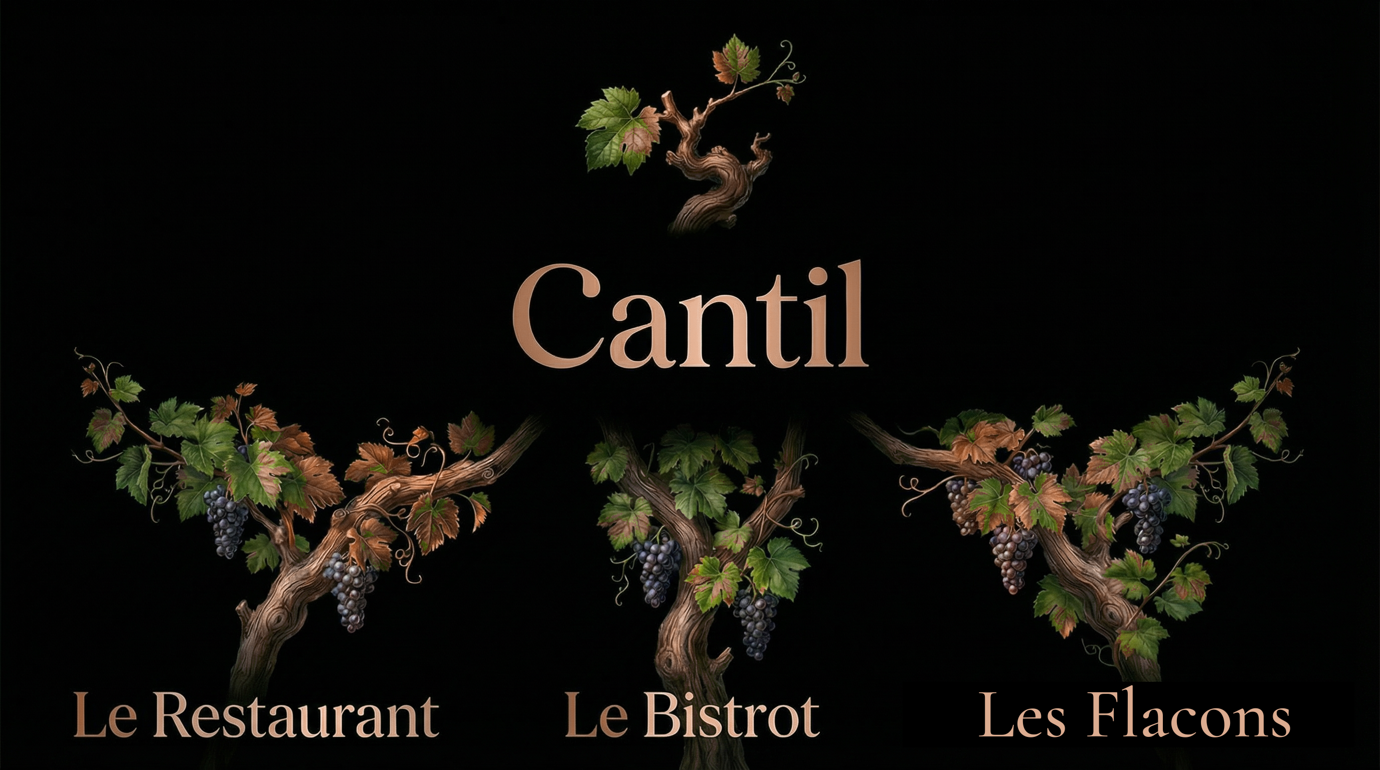 Le Restaurant · Le Bistrot · Les Flacons — Le Cantil
